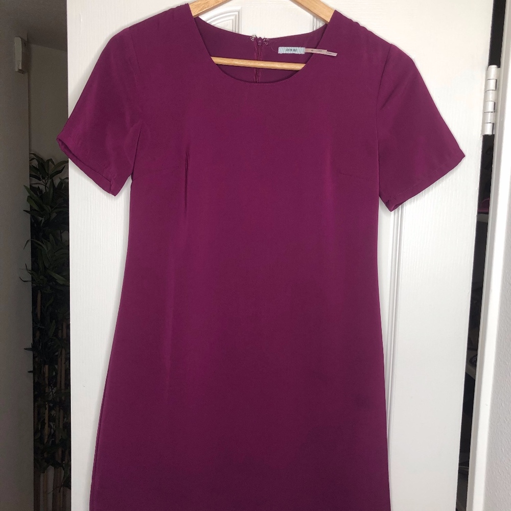Fuchsia Short Sleeved Shift Dress